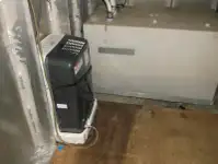 Ferry vessel for sale