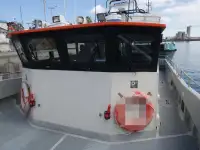 Catamaran for sale