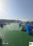 Landing Craft, Tank for sale