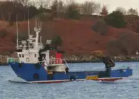 Workboats for sale