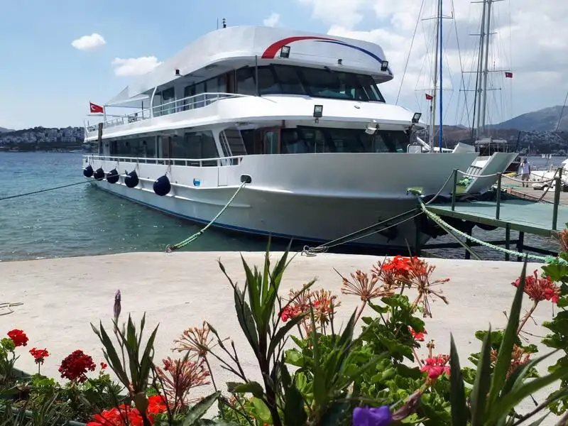 General Cargo/Multi-purpose for sale