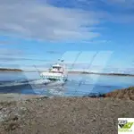 Ro-Ro ship for sale