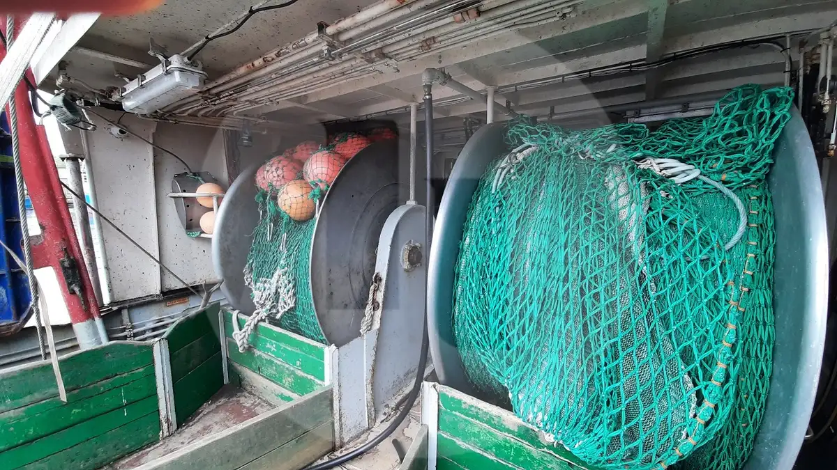 Live fish carrier for sale