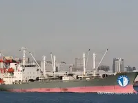 Reefer ship for sale