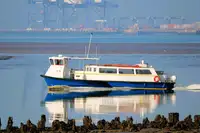 Cruise ship for sale