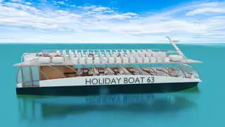 Catamaran for sale