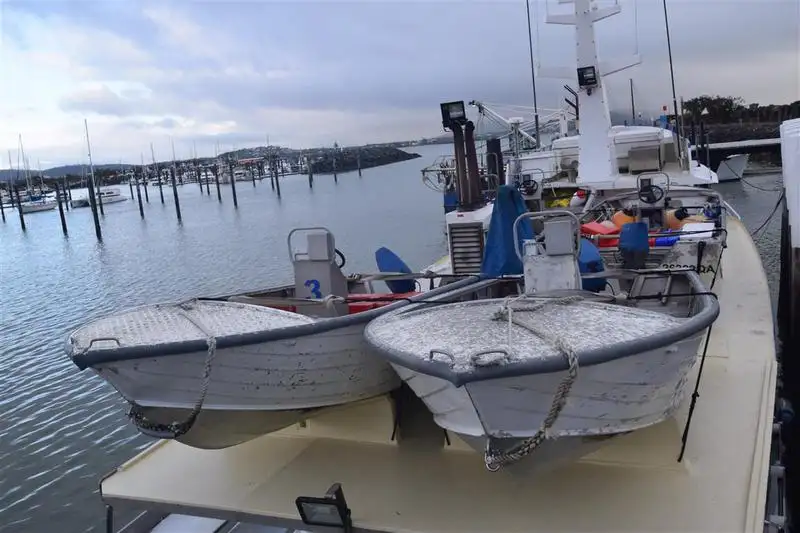 Cutter for sale