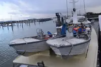 Cutter for sale