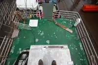 Ferry vessel for sale