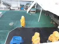 Trawler for sale