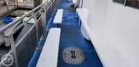 Catamaran for sale