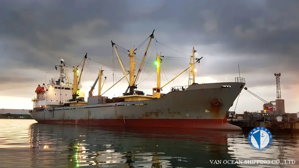 Reefer ship for sale