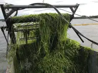 Bilge water tanker for sale
