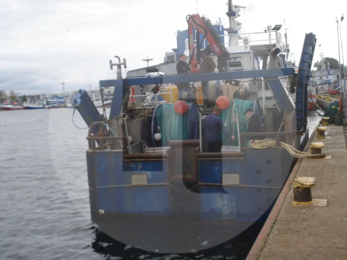 Live fish carrier for sale