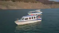Cruise ship for sale
