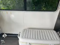 Catamaran for sale