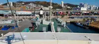 Ro-Ro ship for sale
