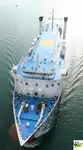 Ro-Ro ship for sale