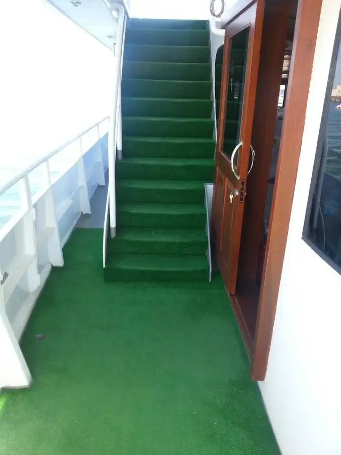 Cruise ship for sale