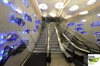 Ro-Ro ship for sale