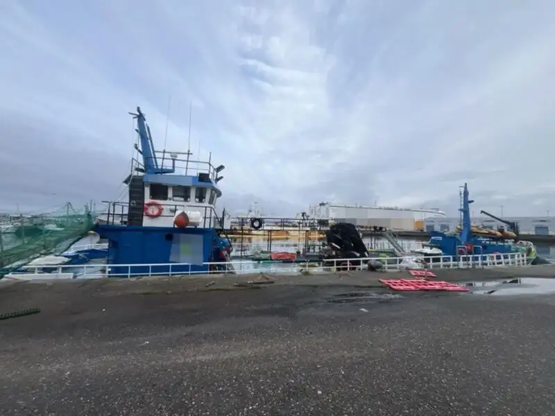 Workboats for sale