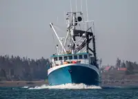 Purse seiner for sale