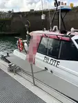 Pilot boat for sale