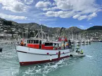 Trawler for sale