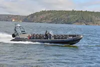 Rigid inflatable boat for sale