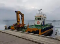 General Cargo/Multi-purpose for sale