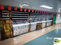 Ro-Ro ship for sale