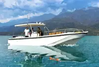 Cruise ship for sale