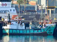 Purse seiner for sale