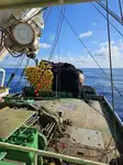 Purse seiner for sale