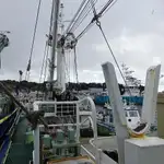 Purse seiner for sale