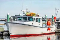 Purse seiner for sale