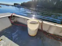 Fish processing vessel for sale