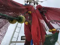 Trawler for sale