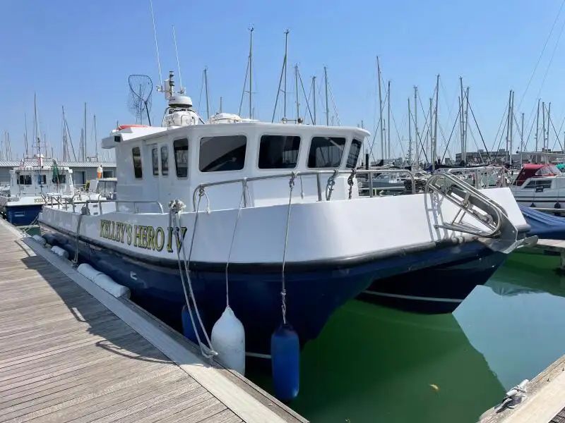 Catamaran for sale