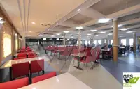 Ro-Ro ship for sale