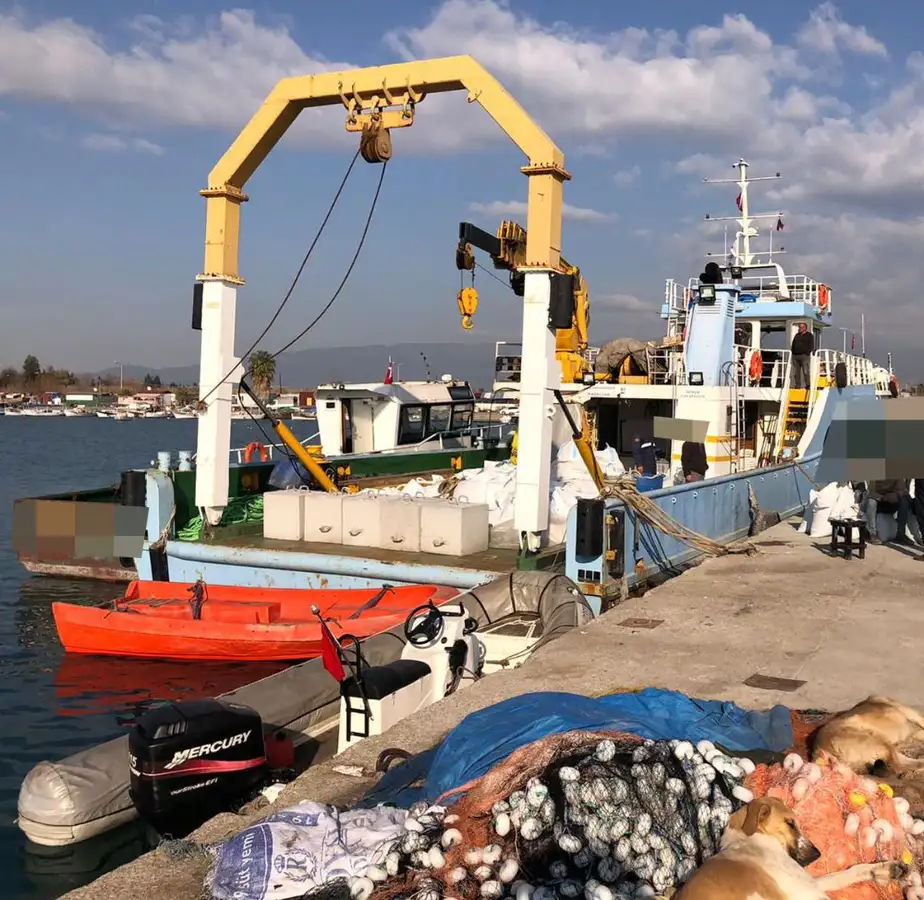 Workboats for sale