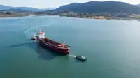 Towboat for sale