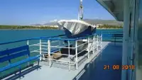 Ro-Ro ship for sale