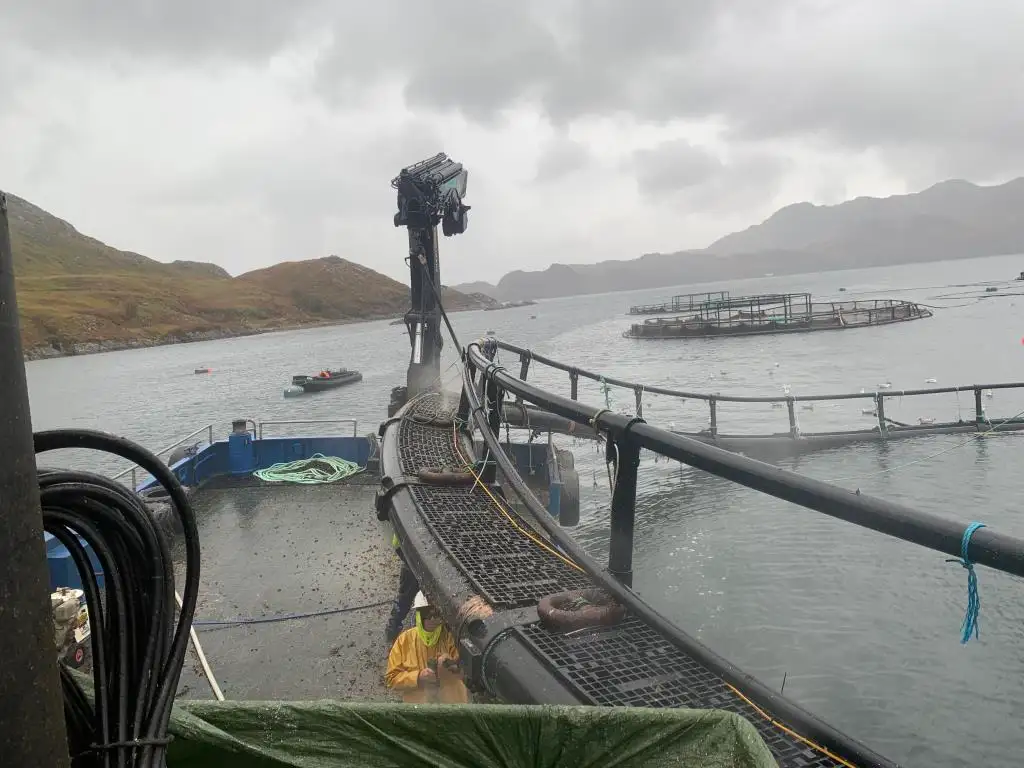 Workboats for sale
