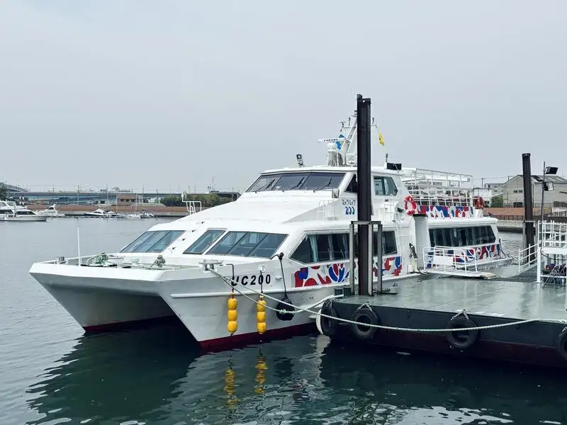 Cruise ship for sale