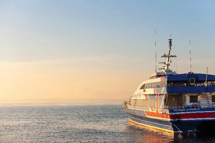 Catamaran for sale