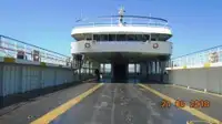 Ro-Ro ship for sale