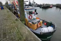 Trawler for sale