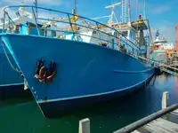 Trawler for sale