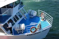 Cruise ship for sale